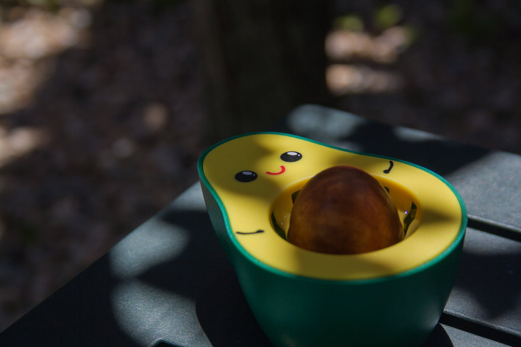 Germinador de semillas de aguacate